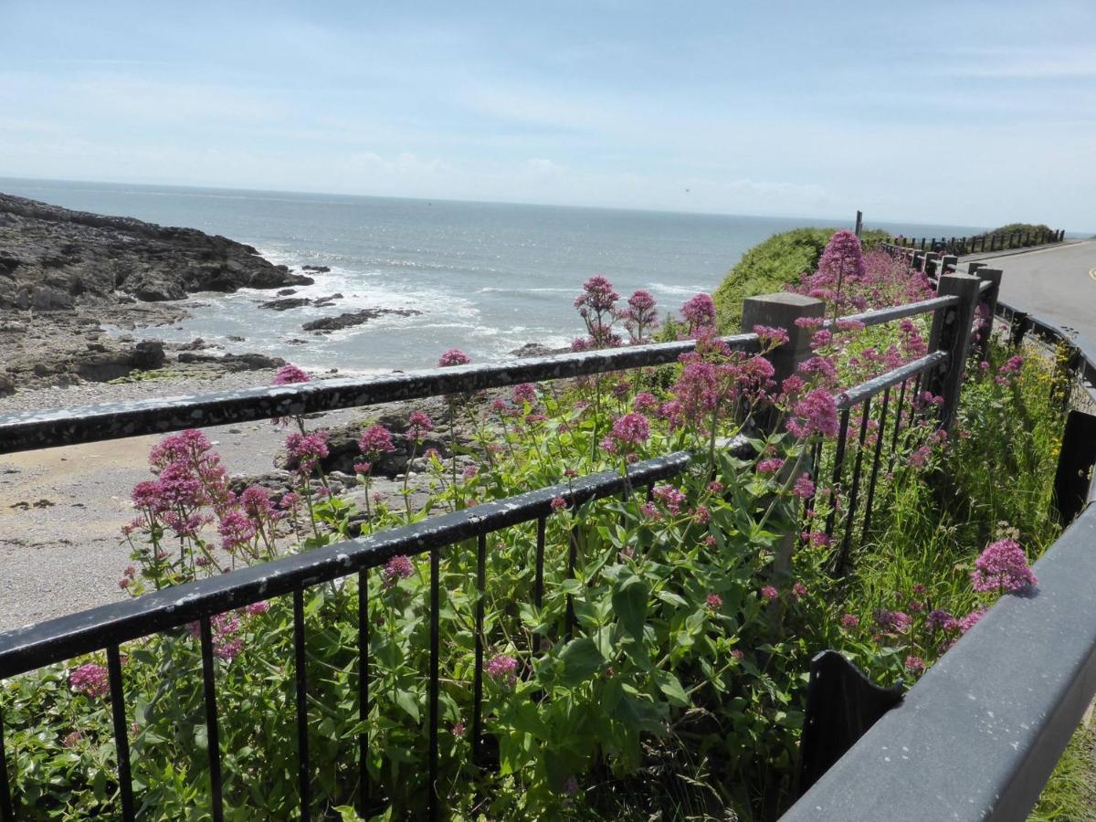 2A Redcliffe Apartment Bishopston Exteriör bild